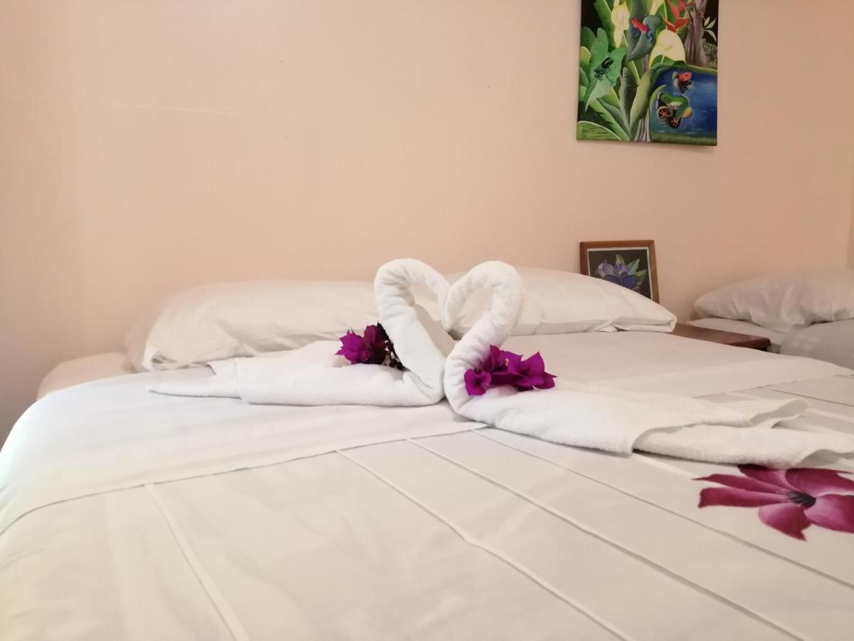 Monte Los Lirios Lodge モンテベルデ エクステリア 写真