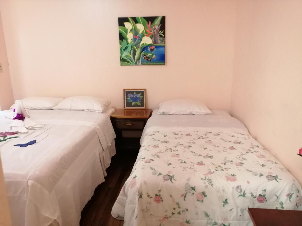 Monte Los Lirios Lodge モンテベルデ エクステリア 写真