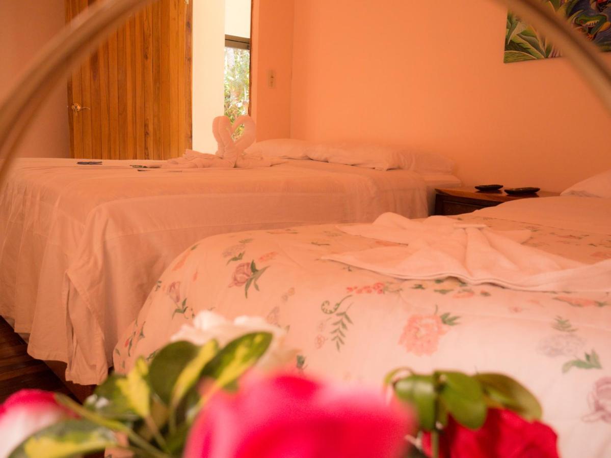 Monte Los Lirios Lodge モンテベルデ エクステリア 写真
