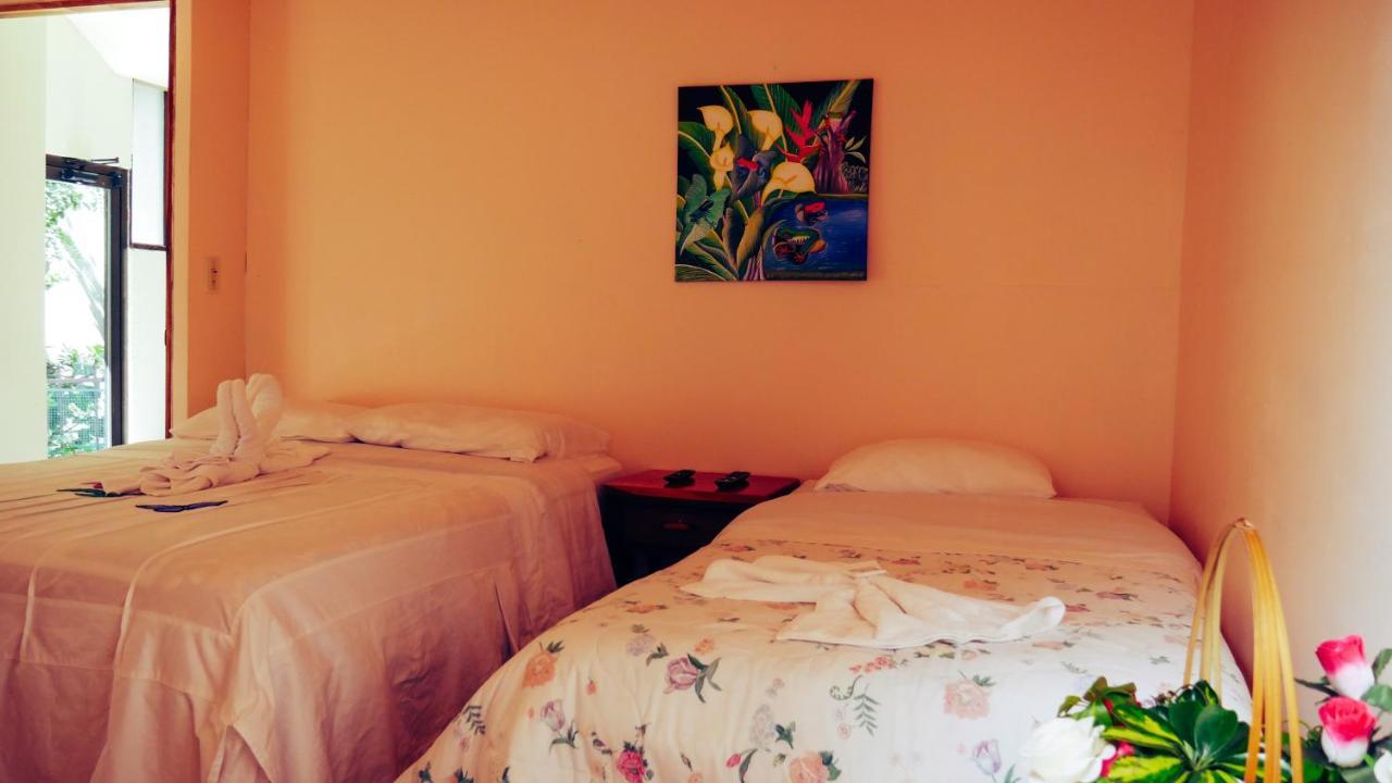 Monte Los Lirios Lodge モンテベルデ エクステリア 写真