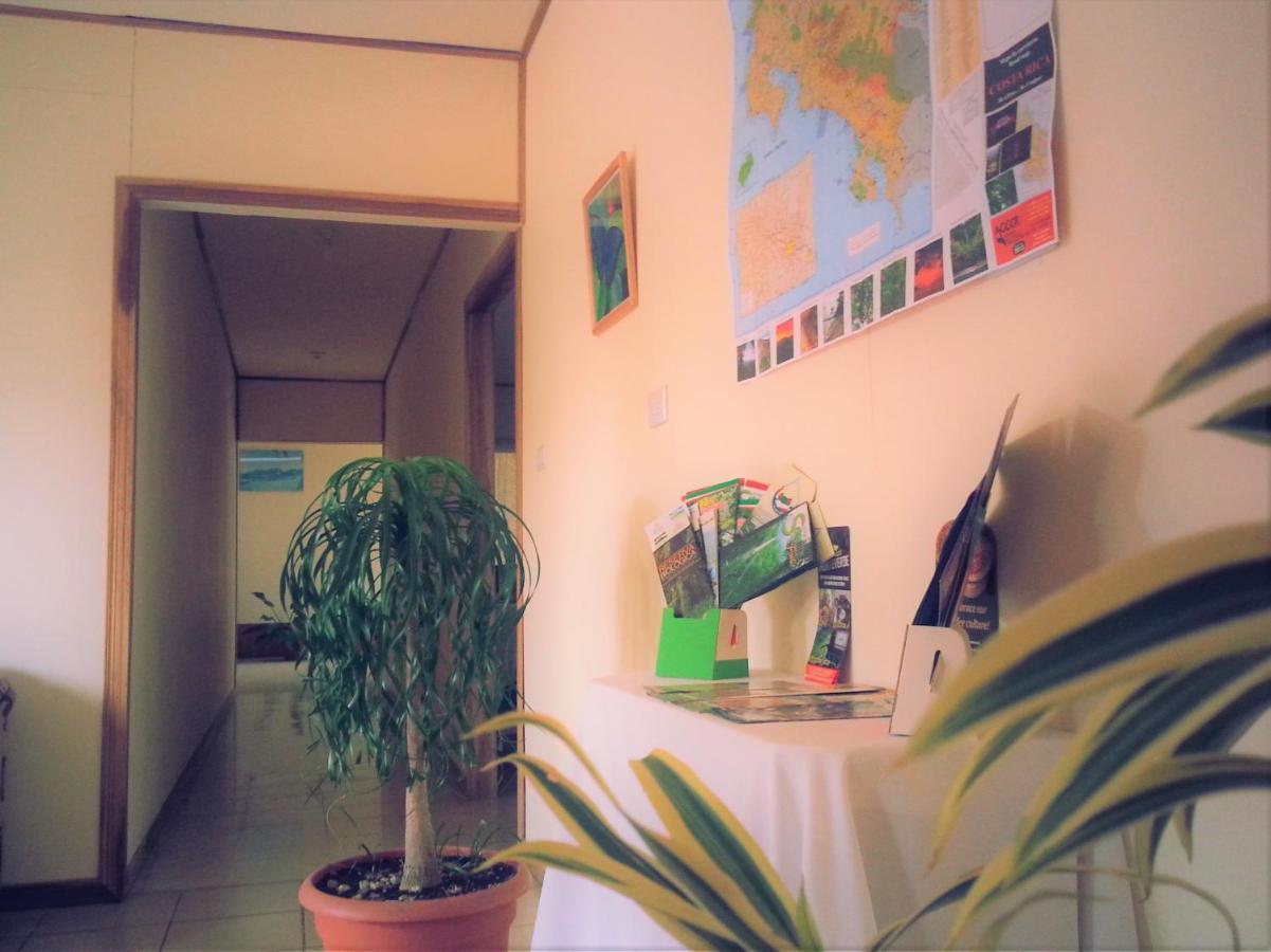 Monte Los Lirios Lodge モンテベルデ エクステリア 写真